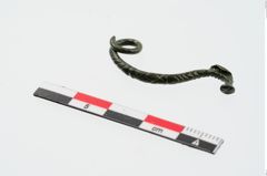 Foto von Bronzecertosafibel (NHMW-PRAE-024308)